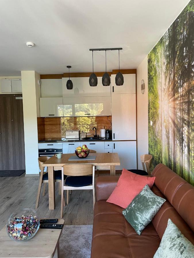 Apartament DeLux 2 Szklarska Poreba Extérieur photo
